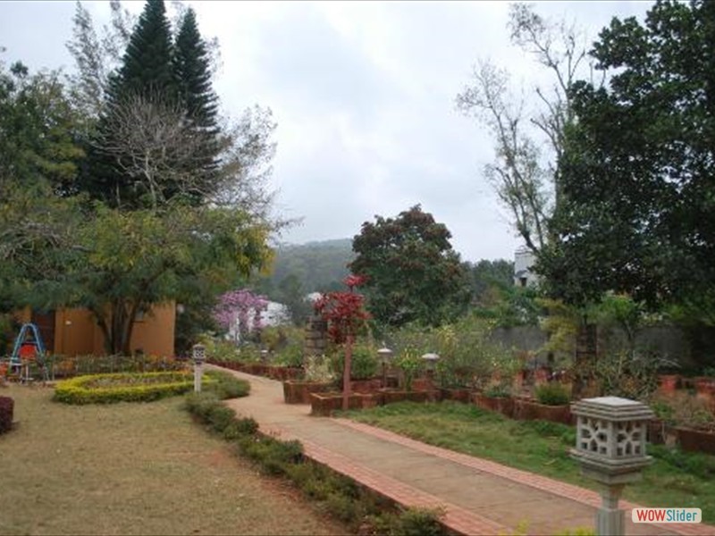 View of garden from Main Building