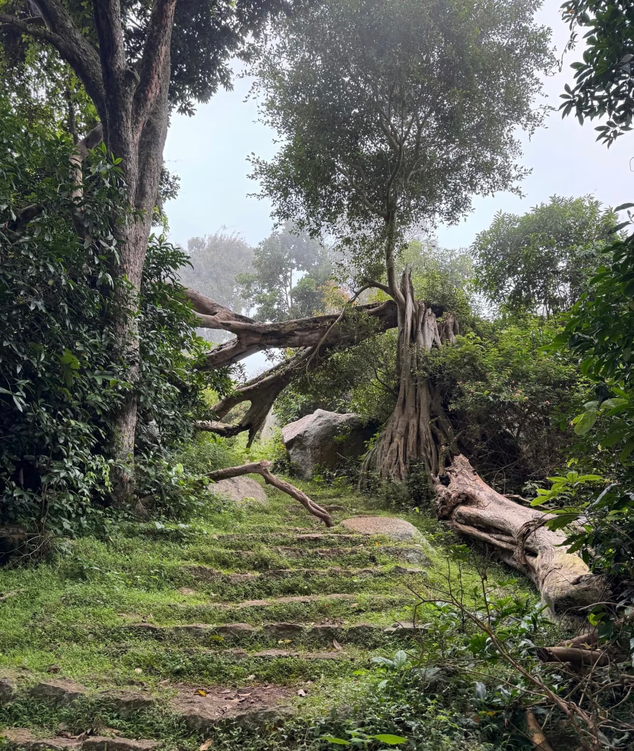 swami malai trek